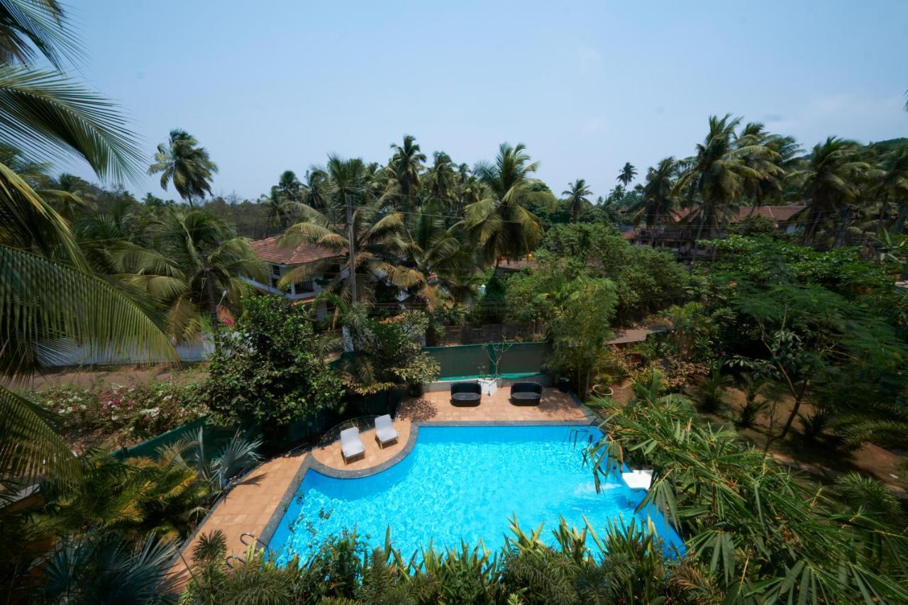 Fig House Anjuna-Chapora Road , Siolim 1Bhk Suite Oxel Luaran gambar