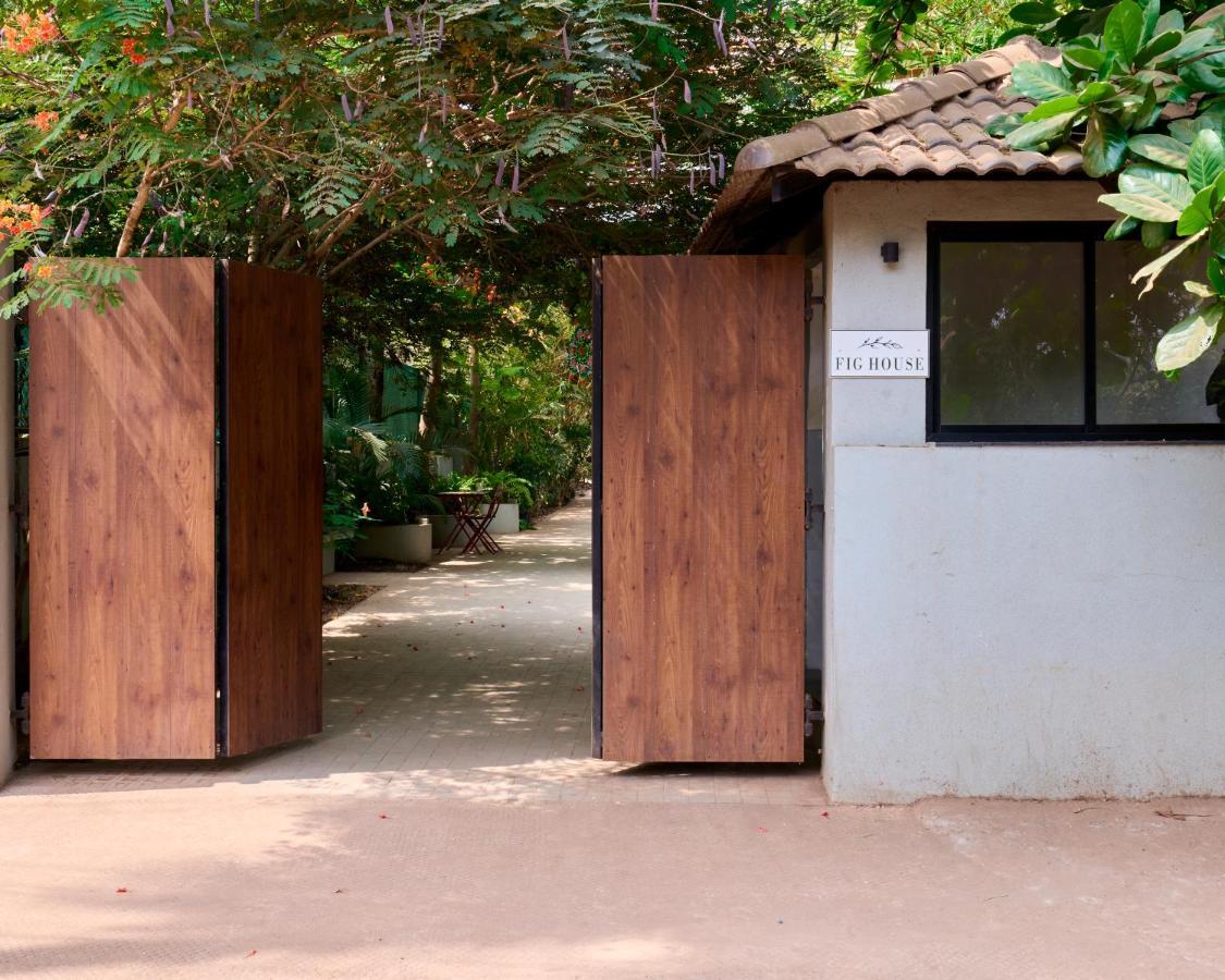 Fig House Anjuna-Chapora Road , Siolim 1Bhk Suite Oxel Luaran gambar